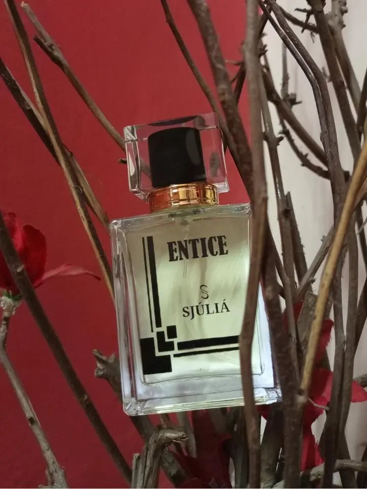 Entice - Men's Fragrance My Store