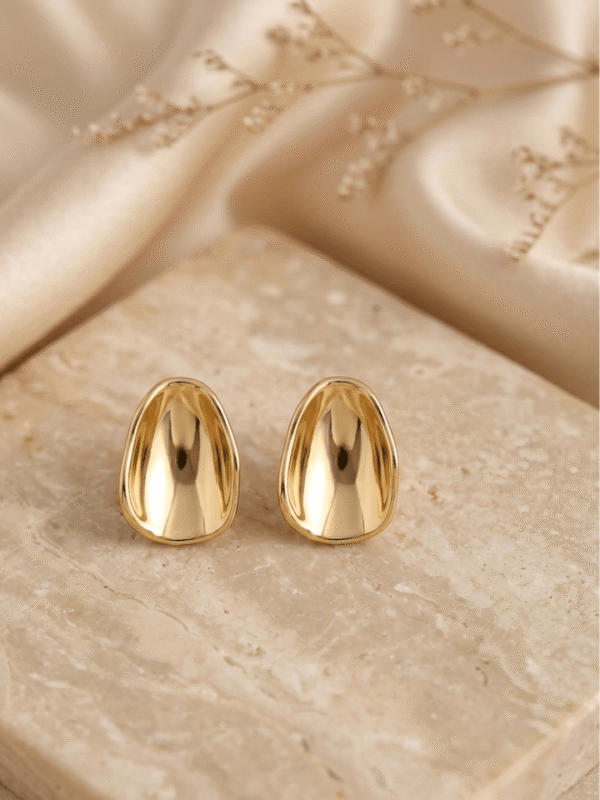 Stylish Earrings Sjulia Stylish Earrings Sjulia